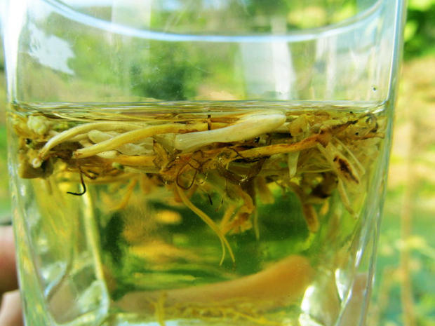 新货天然野生金银花无硫 农家金银花宝宝洗澡 金银花茶泡水100克