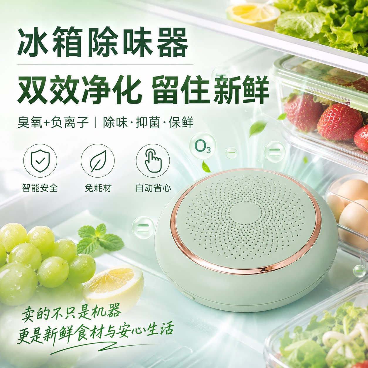 冰箱除味器除臭去异味杀菌保鲜