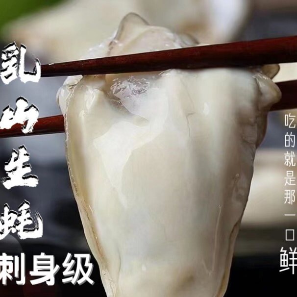 山东威海乳山新鲜大牡蛎生蚝