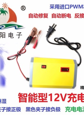 12v电瓶蓄电池充电器12v20A/12v36A12V45A免维护摩托车稳压蓄电池