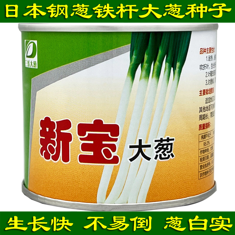 日本铁杆大葱种子铁杆葱种子四季蔬菜种子/种苗