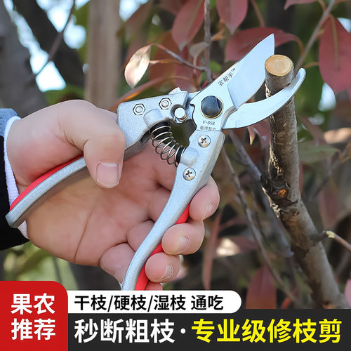 园林剪刀修枝剪果树剪枝园艺修剪