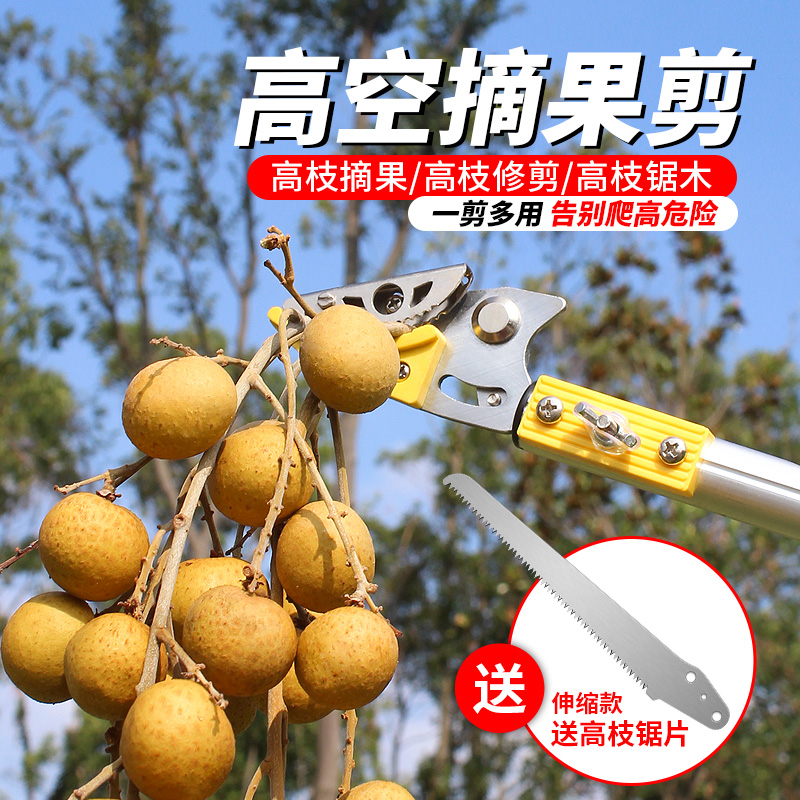 枇杷荔枝龙眼高空摘果器伸缩樱桃香椿摘果神器高枝剪水果采摘剪刀