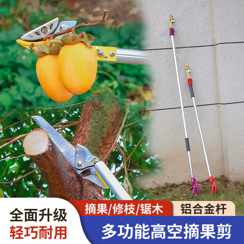 高空摘果水果采摘荔枝龙眼枇杷