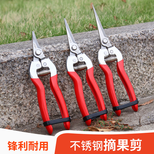 农帮手摘果剪不锈钢细齿剪刃