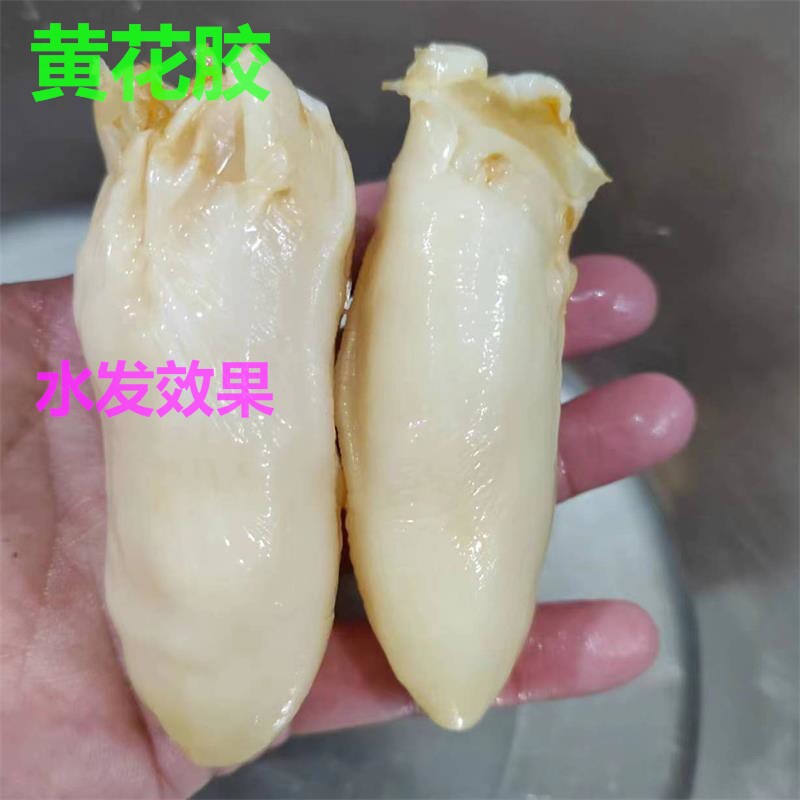 黄花胶干货广东深海鱼胶鱼肚55头黄鱼胶孕妇滋补煲汤花胶炖品包邮