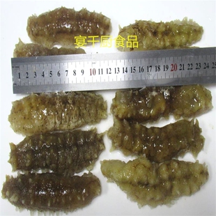 野生进口刺王参黄肉参10条水发黄玉参海参酒店半成品佛跳墙即用参