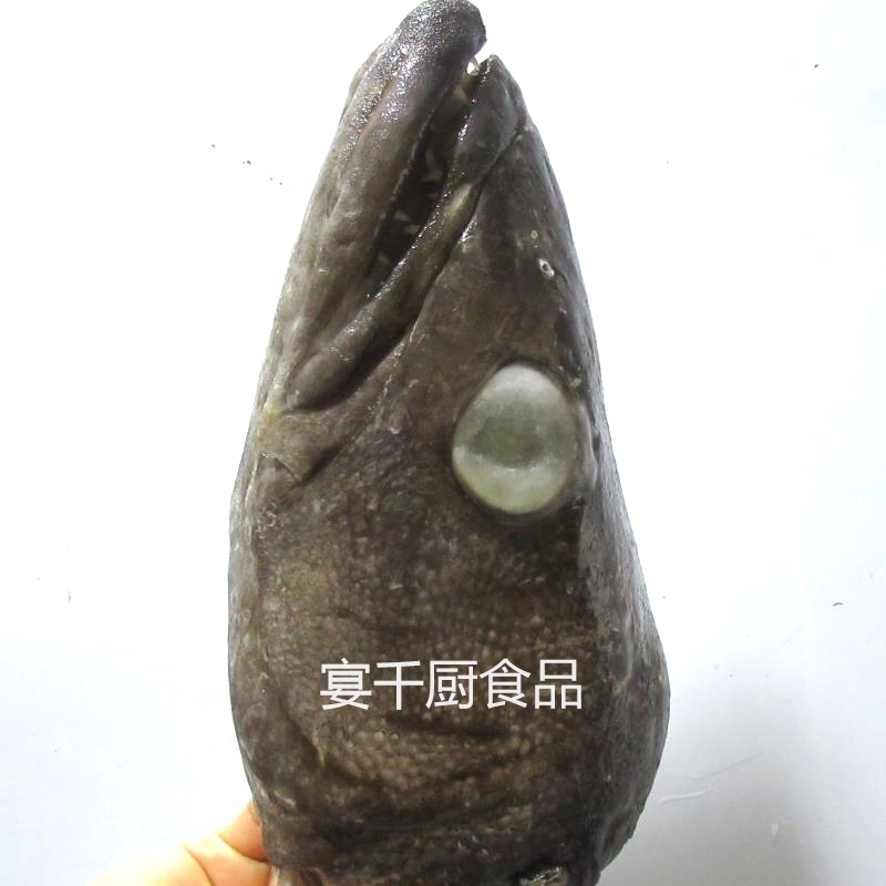 鱼头冷冻海鲜水产法国半只约重