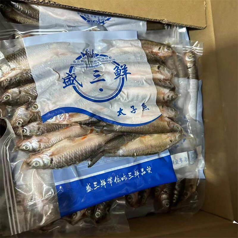 淡水新鲜冷冻太子鱼马来皇帝鱼去内脏苏丹鱼商用包装水产500g/包