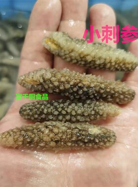 特价野生水发刺参葱爆迷你