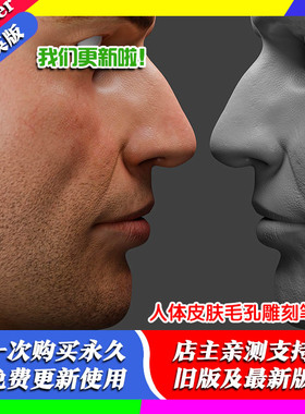 blender插件 Human Skin Brushes 人体皮肤毛孔模型雕刻笔刷预设
