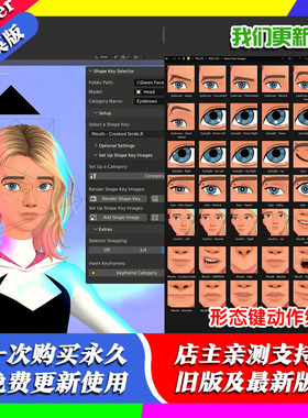 Blender插件 Shape Key Selector 1.0 形态键选择器表情绑定动画