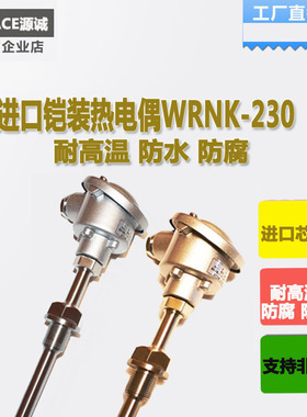 工业高精度耐高温铠装热电偶k型探头pt100温度传感器wrnk-230