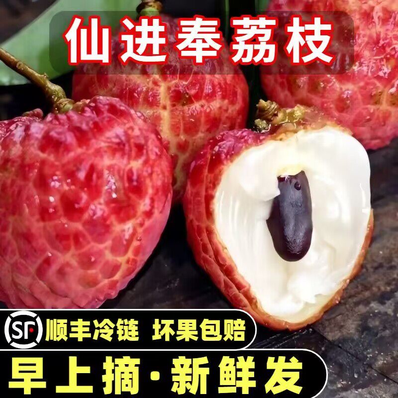 顺丰正宗仙进奉荔枝新鲜水果