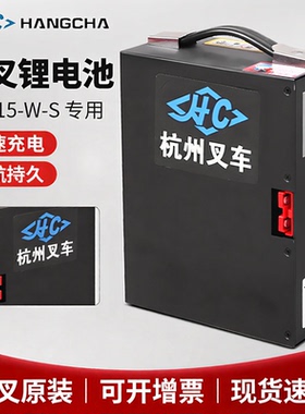 杭叉雷翼锂电池电动小金刚托盘搬运车48V10AH15A锂电池配件
