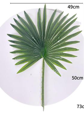 真植物仿胶扇叶棕树叶布葵塑料单片CY800155保鲜棕榈树叶仿真大小