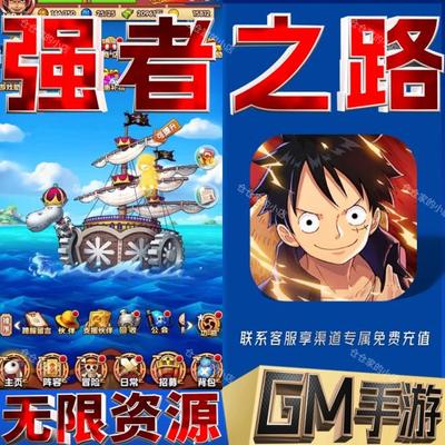航海王强者之路gm后台无限科技