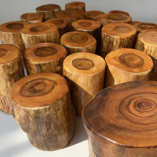 香樟木树墩树桩木桩凳坐凳子原木花架根雕茶几实木大底座墩子木墩