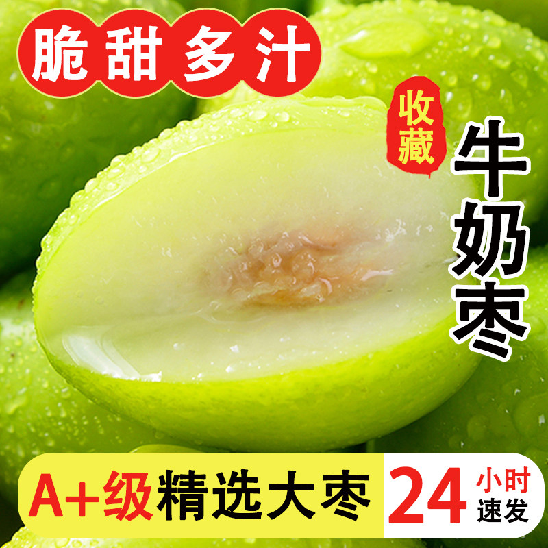 云南牛奶青苹果枣现摘新鲜水果5斤大青枣贵妃枣当季福建蜜枣包油