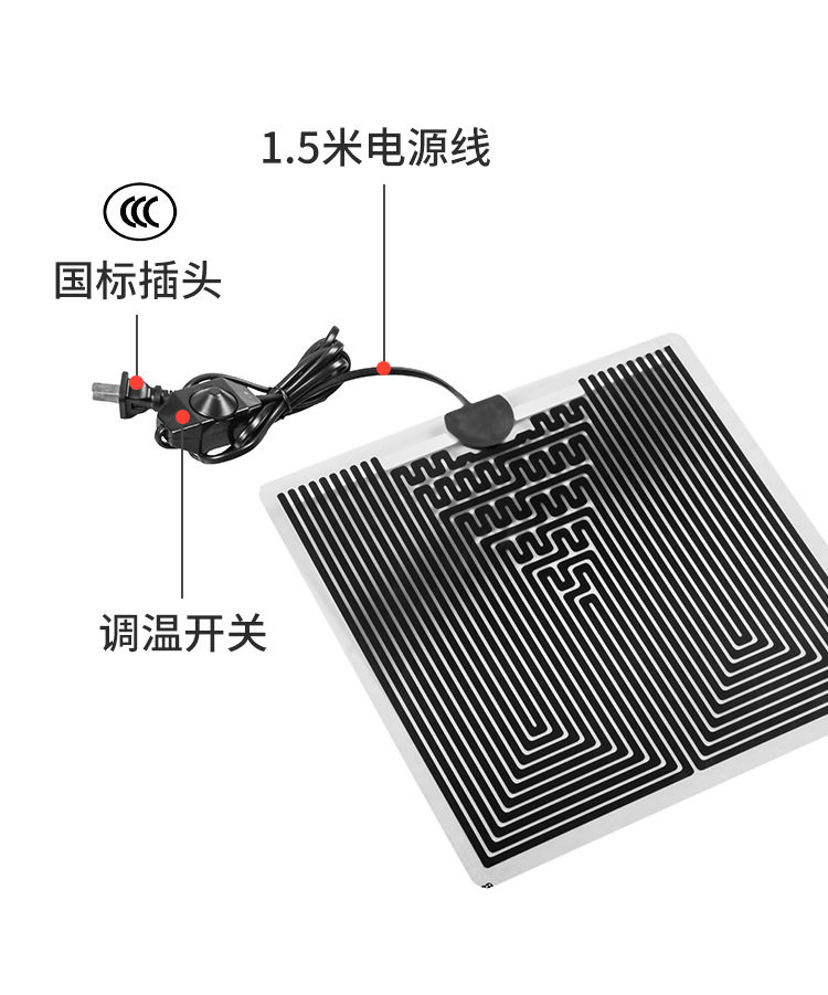 指尖宠物螳螂活体幼体个性爬兰花螳螂圆盾幽灵广斧昆虫萌宠加热垫
