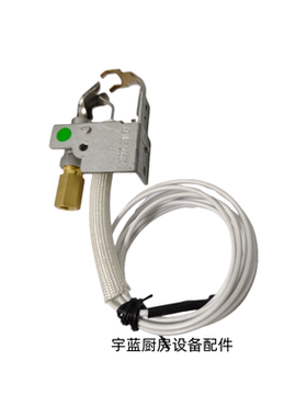 代替Q3451加热器锅炉长明火小火点火针母火组002003F燃气炉点火器