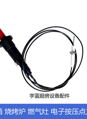 法格伊莱克斯通用烤箱烧烤炉燃气灶配件按压点火器压电点火针带线