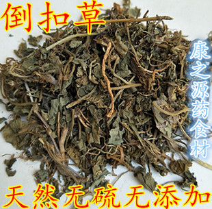 倒扣草 中药材正品铜锤玉带草 地茄子草 铜锤草 扣子草500克包邮