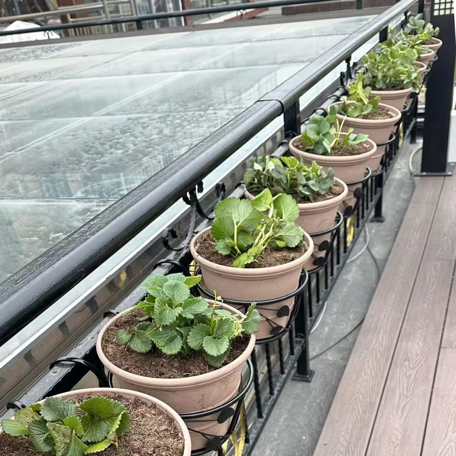 阳台花架挂式露台栏杆置物铁艺架子多肉绿植盆栽圆形悬挂花盆挂架