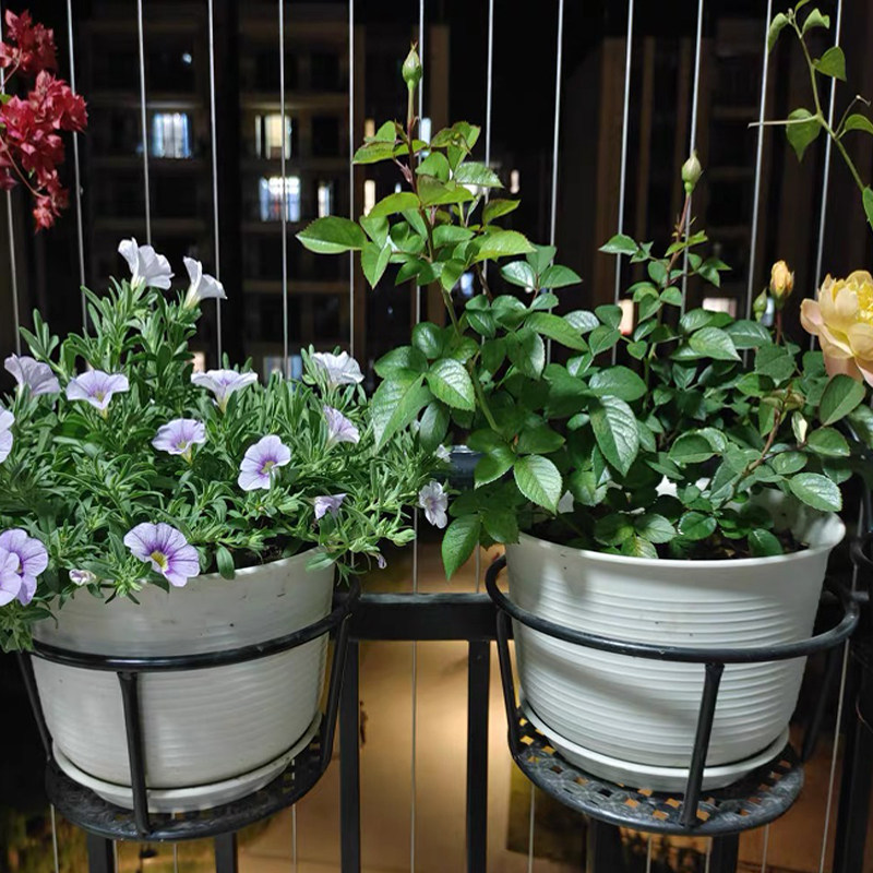 阳台铁艺挂篮挂式花架多肉绿植花盆铁艺花架挂式挂篮,收纳整理,阳台置物架,淘宝优惠券,粉丝福利购,淘宝优惠卷