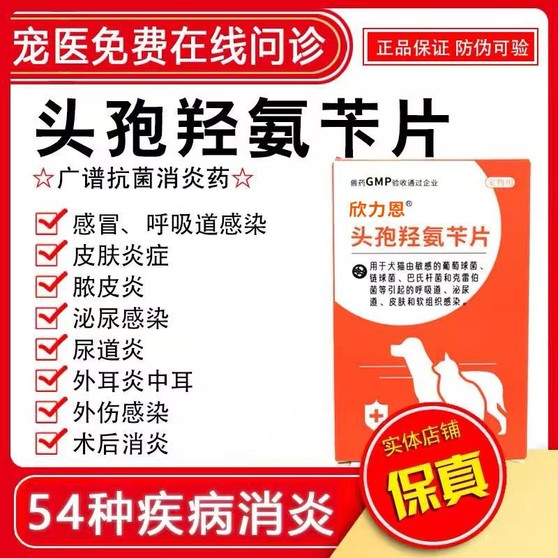 头孢狗狗猫咪感冒消炎药打喷嚏发烧咳嗽流鼻涕支气管炎犬窝咳犬瘟