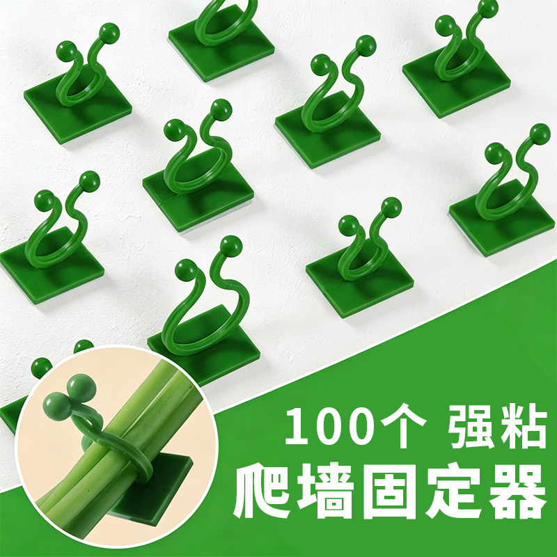 绿萝爬墙固定器绿植攀爬绿植爬墙神器夹子墙上无痕挂钩粘爬藤杆子