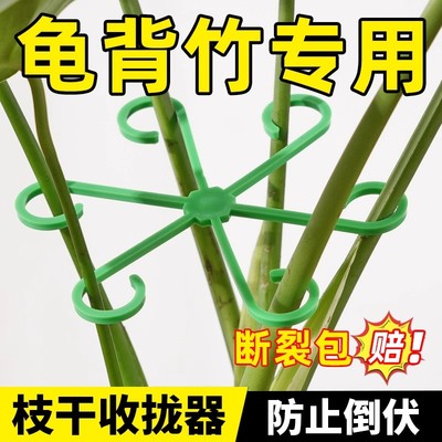 龟背竹支撑杆花支撑架植物防倒伏支架绿植花架固定神器枝干收拢架