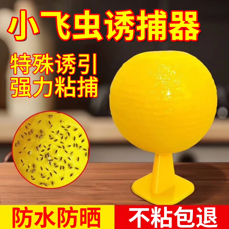 果蝇诱捕器小飞虫灭杀神器室内去除蚊虫克星厨房蠓虫粘虫球诱苍蝇
