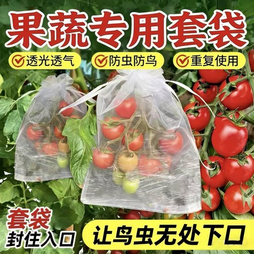 水果套袋防鸟防虫专用网袋西红柿番茄葡萄草莓无花果尼龙套袋保护