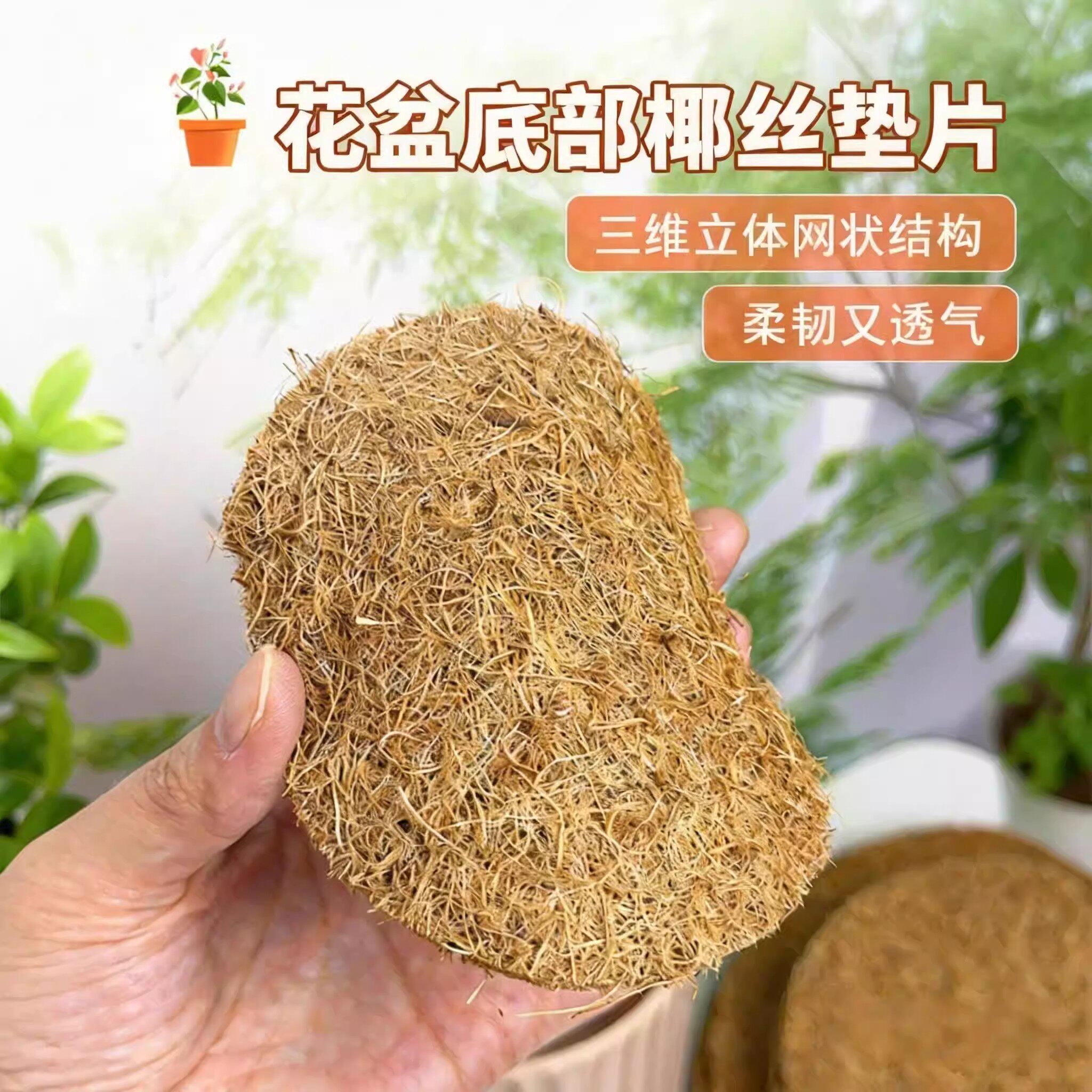 椰丝垫片花盆底孔防漏土防虫天然铺面大小号圆形椰棕垫料透气垫网