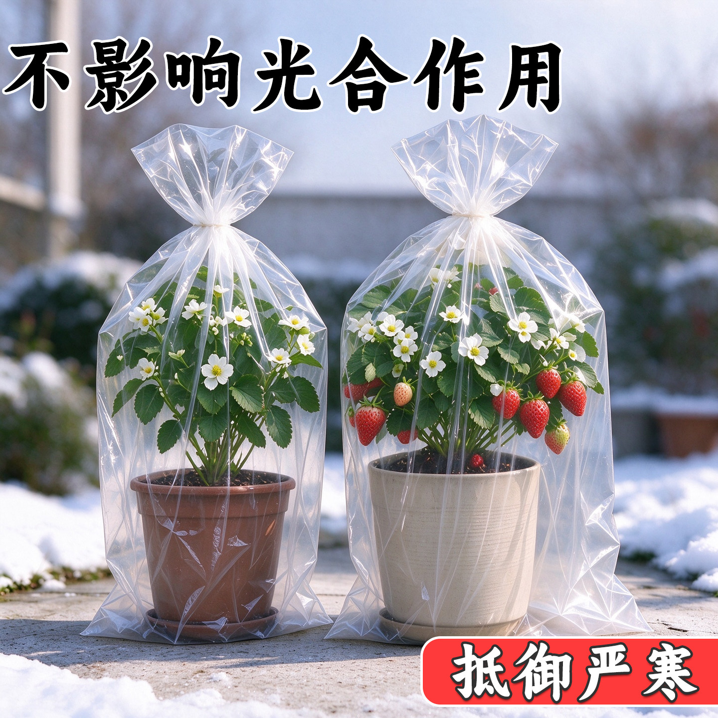 苗木保温袋植物防冻防寒罩户外