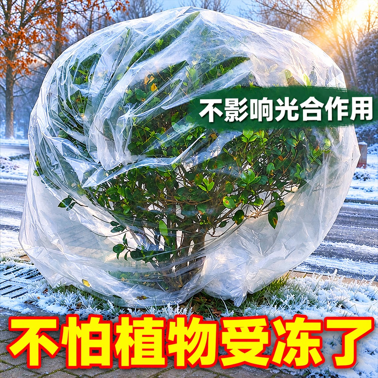 绿植盆栽过冬透明防冻保温袋