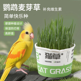 鹦鹉麦芽草粮大麦种子鹦鹉啃咬饲料鸟草盒零食促进消化解闷防啄毛