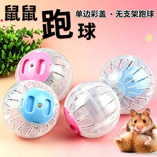 仓鼠跑球跑轮玩具金丝熊跑步运动滚球透明透气专运动玩具溜鼠神器
