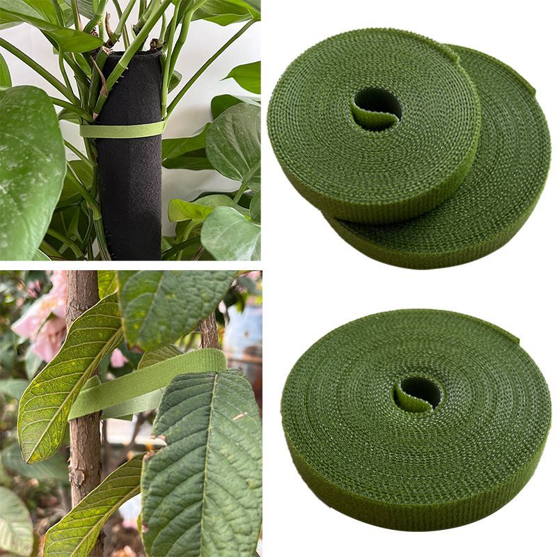 绿植绑带植物魔术贴园艺扎线植物捆绑定型绑带插花固定神器
