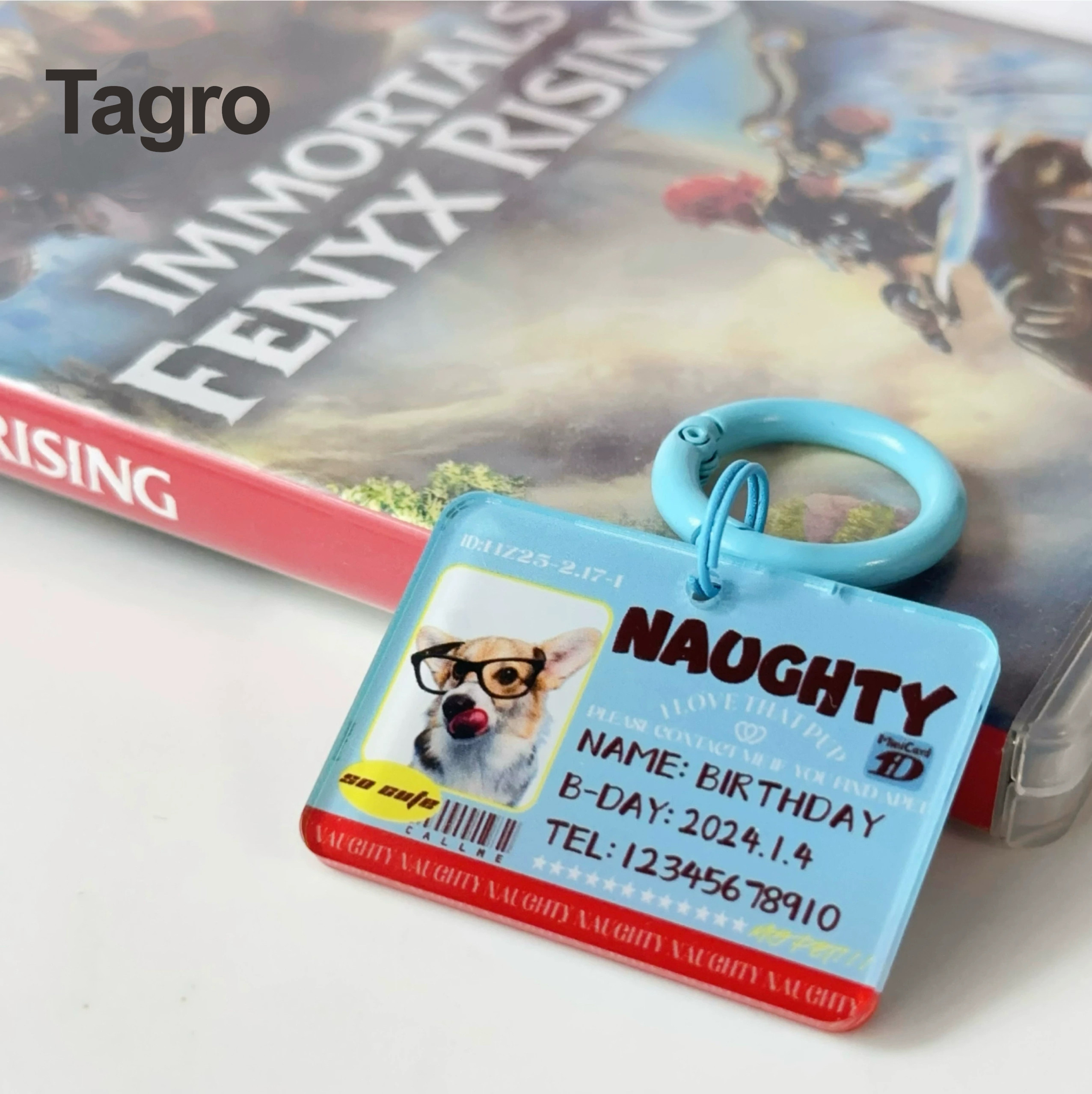 naughty宠物名牌小众定制图片