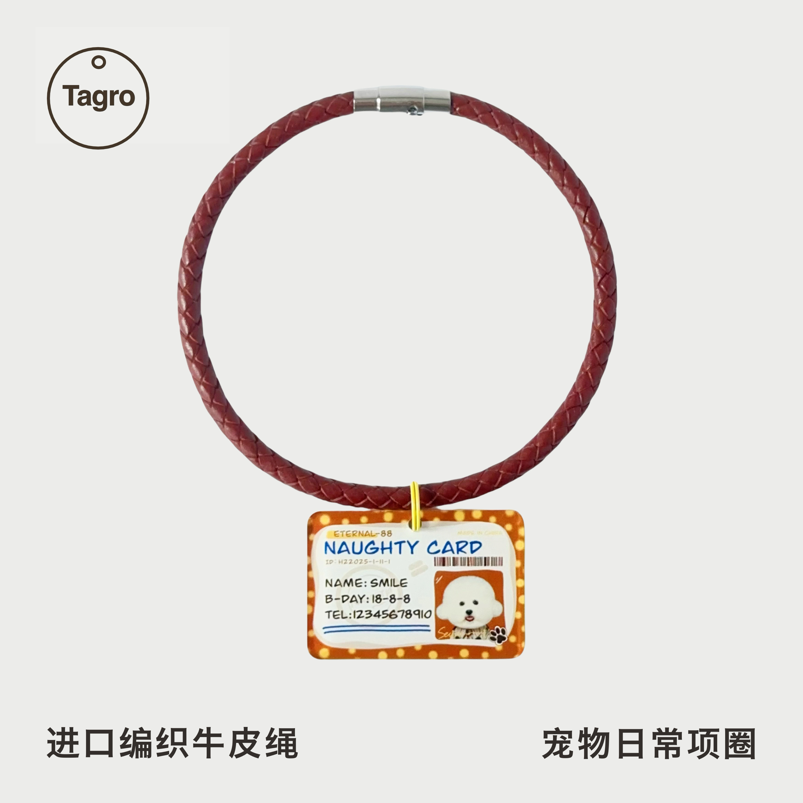 宠物项圈进口牛皮猫咪狗狗铭牌挂绳皮绳小型狗脖圈防丢失小型犬