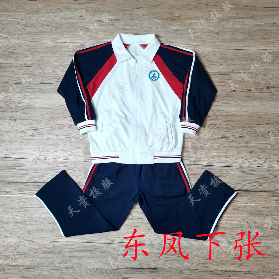 东凤镇下张濬智学校校服