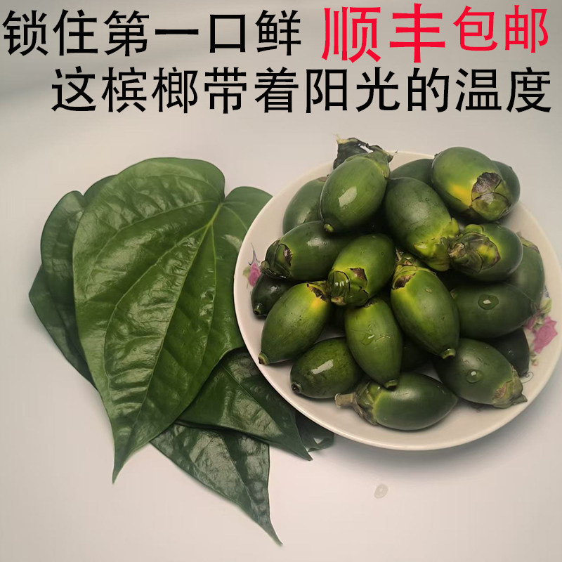 海南陵水青槟榔生果现摘鲜果散装