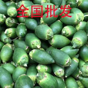 海南邻水现摘槟榔嫩果500g乐东新鲜青果赠送荖叶和贝壳粉顺丰包邮