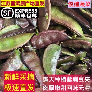 顺丰包邮 董浜紫扁豆 新鲜采摘农家自种扁豆角露天紫边眉豆1斤起
