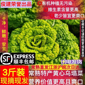 顺丰包邮常熟特产黄心乌塌菜新鲜农家自种黄心菜火锅蔬菜非白青菜