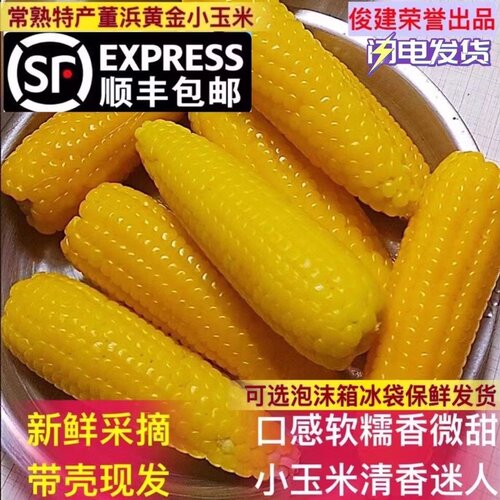 现摘带壳现发黄金小玉米软糯香甜