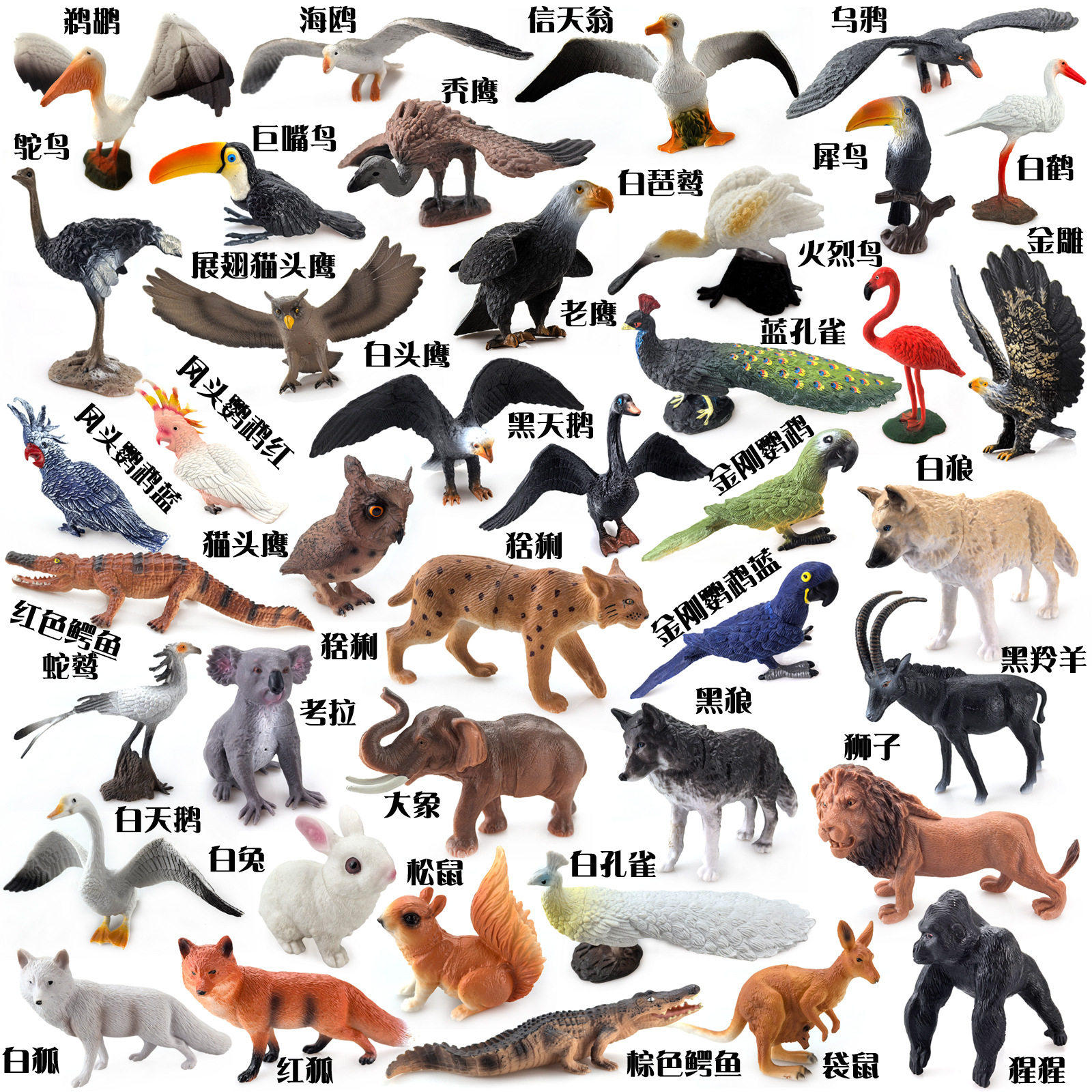亚马逊动物模型仿真玩具老鹰鹦鹉飞禽大象狮子狼猩猩狐狸白兔摆件