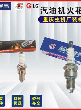 汽油机微耕机抹光机水泵170FP212CCF5TCF6/F7TC火花塞装机配套